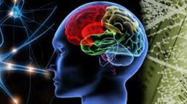 Timeline: Desde los orígenes al presente: las neurociencias de la conducta, un viaje que no se detiene.