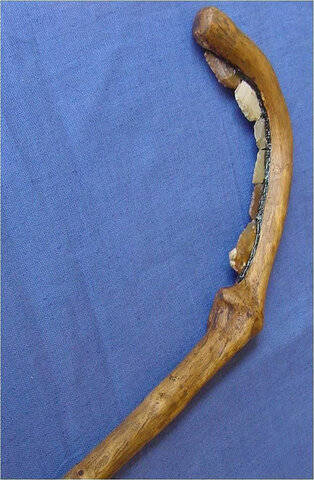 Eines neolitic-falç