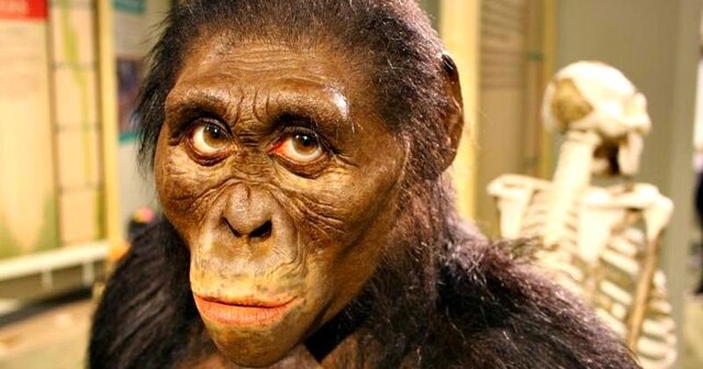 Lucy nuestra bestie (bestie es como mejor amigo es para ponerle rollazo al trabajo perdon si queda mal)