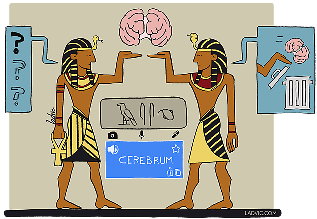 HISTORIA DE LAS NEUROCIENCIAS A.C.