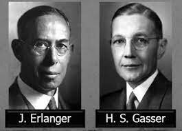 Joseph Erlancer y Herbert Spencer Gasser