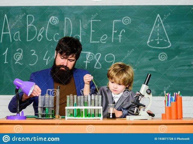 La habilidad debe introducirse sin discriminar por materias