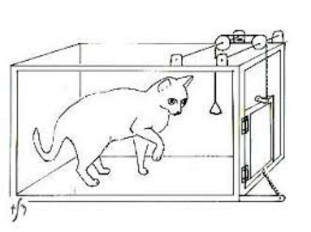 Emparejamiento entre el estímulo y la respuesta
