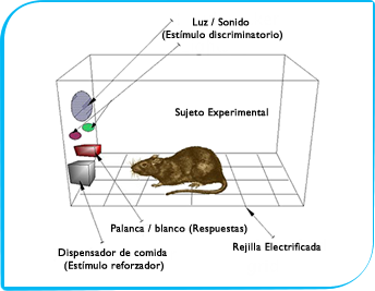 El castigo no es eficaz para modificar hábitos