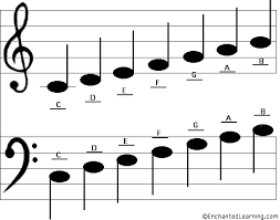 learned how to read music