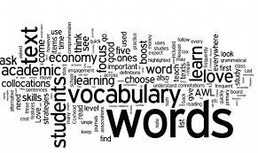 Vocab words