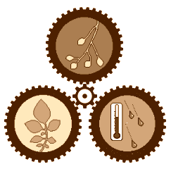 OTRAS NOCIONES DE CAUSAS