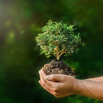 Timeline: Historia de la Ecología