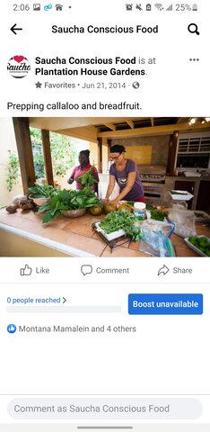 Plantation Organics Debut Dinner