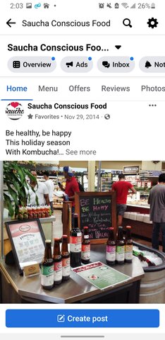 Saucha logo design  and kombucha tastings