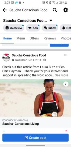 Ecochic blog featuring saucha