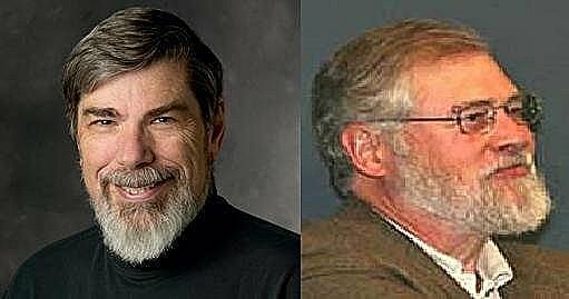 Las teorías contingentes