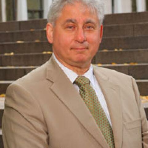 La Teoría Institucional-DiMaggio y Powell