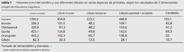 Surgimiento de los hominídos