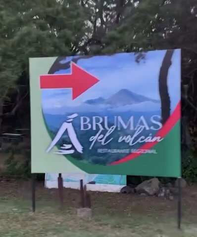 Viaje vacacional con amigos