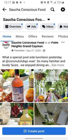 Saucha Kombucha Samples with Chef Britta at Palm Heights