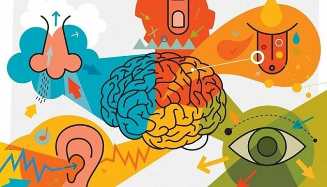 Las personas utilizan principios para organizar sus percepciones, entre los que destacan la relación figura-fondo, la proximidad, la semejanza, el destino común, la sencillez y el cierre