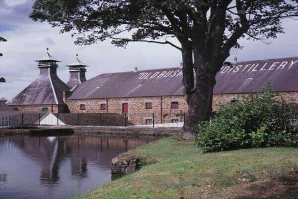 Del norte de Irlanda, aprendieron aquellos que a partir de entonces, se han dedicado a la destilación de esta bebida alcohólica.