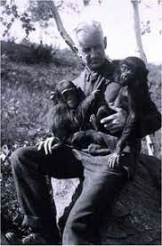 Programa de investigación en Psic. Comparada