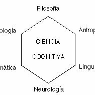 funcionamiento de las categorías