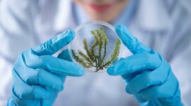 Timeline: Bioética
