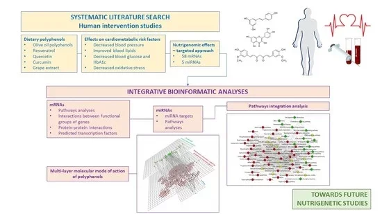 Análisis bioinformáticos sistemáticos de modificaciones nutrigenómicas por polifenoles asociados con la salud cardiometabólica en humanos: evidencia de estudios nutrigenómicos específicos.