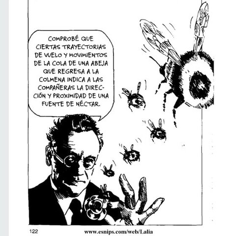 Estudio realizado con Abejas