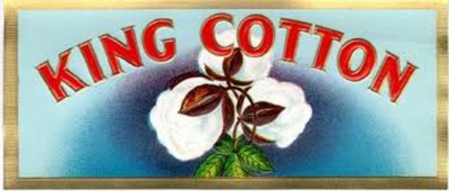 King Cotton