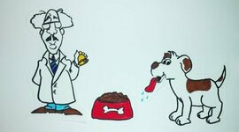 Timeline: Historia del Conductismo