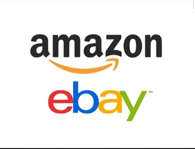 The aparition of amazon and ebay