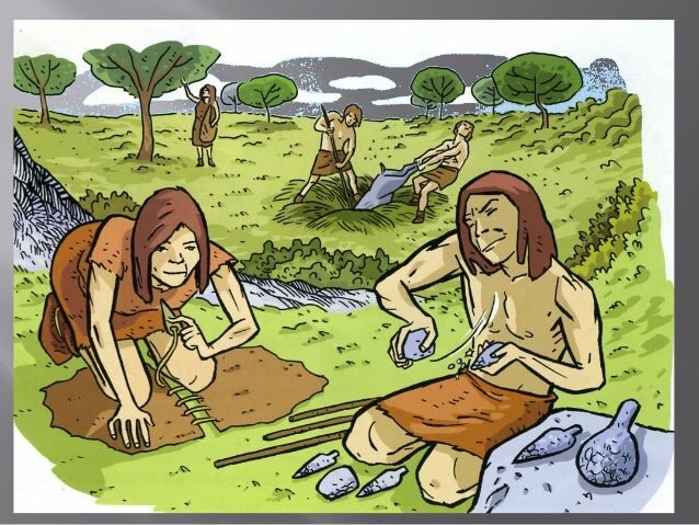 Descobriment del teixit