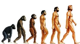 Timeline: эволюция человека