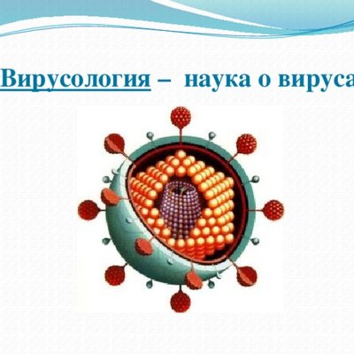 Timeline: Развитие Вирусологии