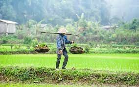 PRODUCCIÓN ASIÁTICA