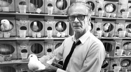 Timeline: Línea de tiempo "El conductismo"