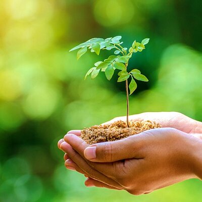 Timeline: Important dates in environmental history