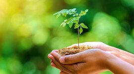 Timeline: Important dates in environmental history