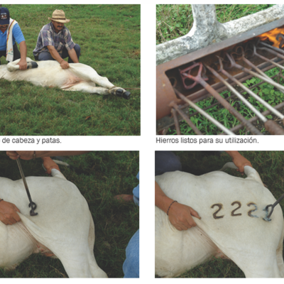 Timeline: historia de la marca