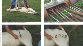 Timeline: historia de la marca