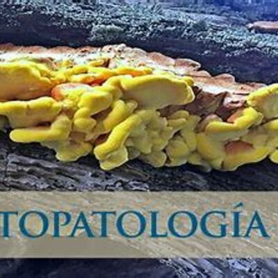 Timeline: Paralelismo entre la medicina y la fitopatología.