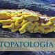 Fitopatologia