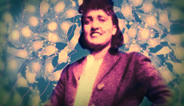 Descubrimiento de células HeLa.