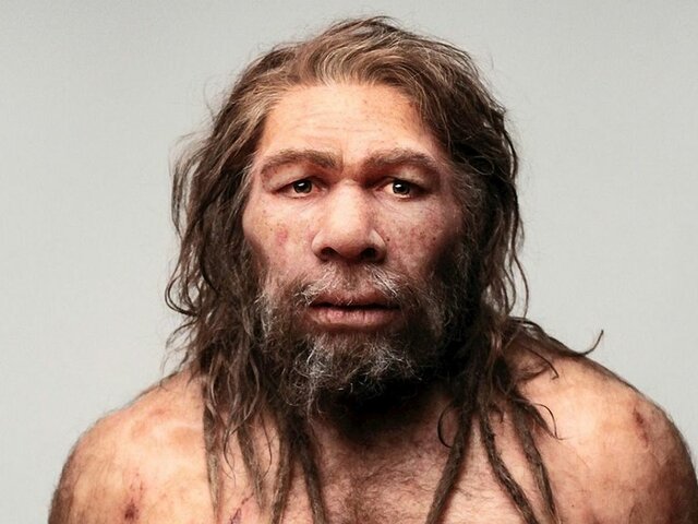 Homo neanderthalensis