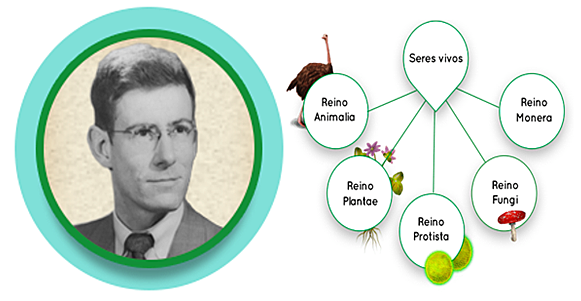 Clasificación de los seres vivos.
