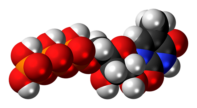 Teoría del Mundo del ARN