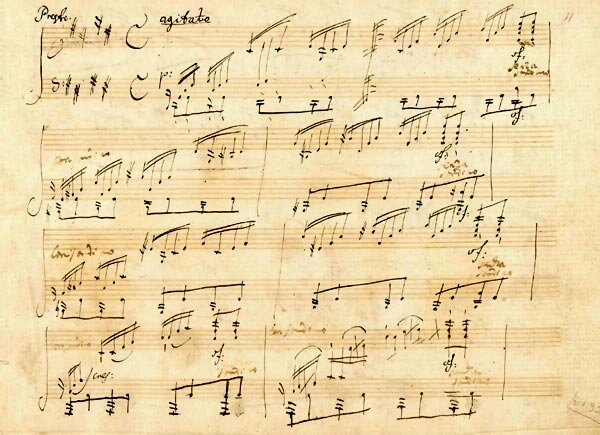 Publica la seva primera obra