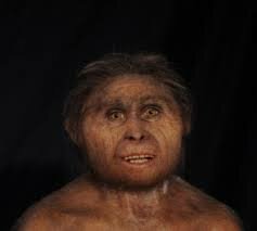 HOMO FLORESIENSIS