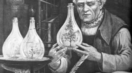 Timeline: Historia de los conceptos de causa y enfermedad: paralelismo entre la Medicina y la Fitopatología