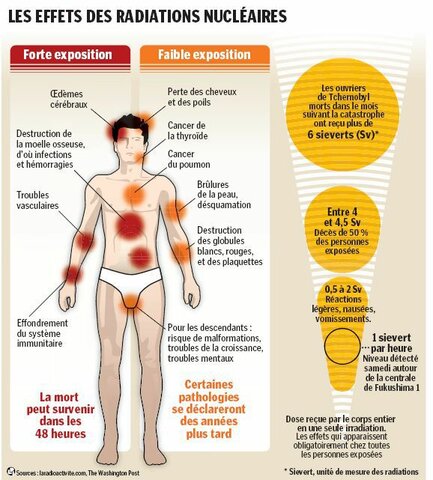 Efectos Biologicos de la Radiacion