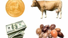 Timeline: Cronología del dinero